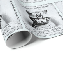 Gato sério, jornal antigo personalizado