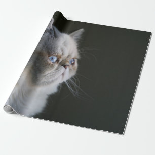 PAPEL DE PRESENTE GAZE AZUL