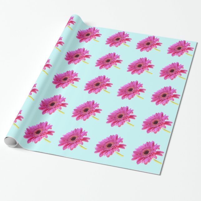 Papel De Presente Gerbera Daisy rosa com fundo azul (Desenrolado)