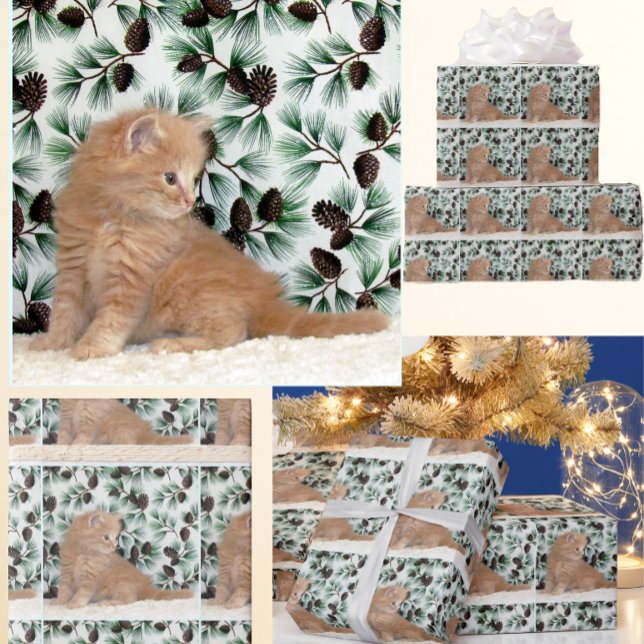 Papel De Presente Ginger Kitten Adorável - Natal para Gatos (Criador carregado)