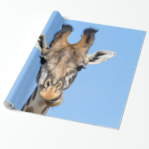 Papel De Presente Girafa