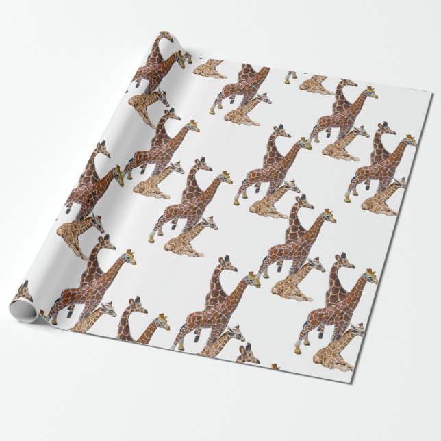 Papel De Presente Giraffe Birthday Safari (Desenrolado)
