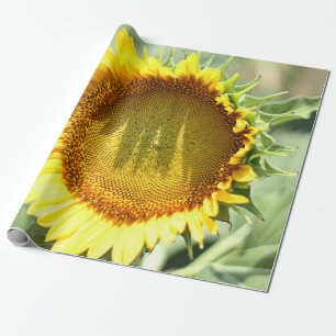 Papel De Presente Girassol amarelo