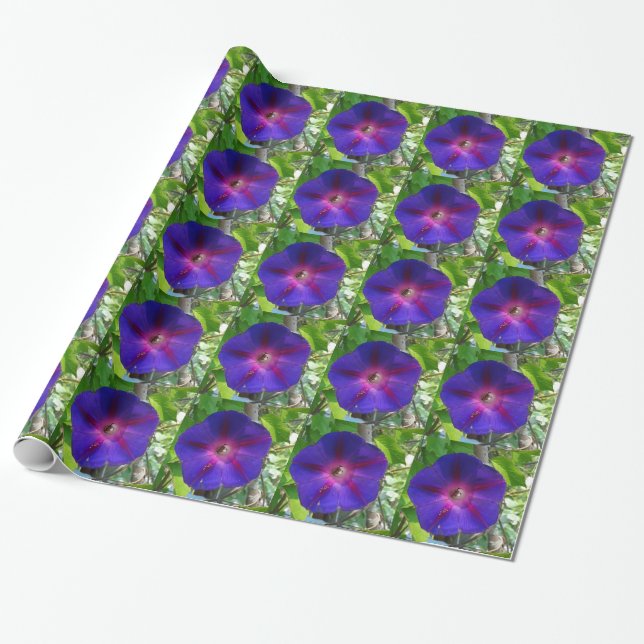 Papel De Presente Glória da Manhã (Desenrolado)