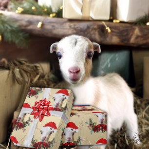 Papel De Presente Goat Christmas Adorable LaMancha Kid em Antlers