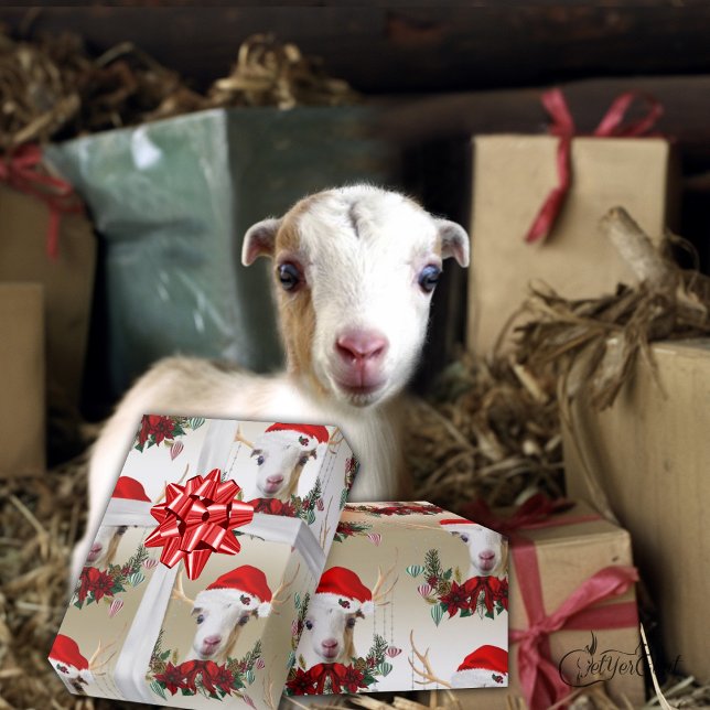 Papel De Presente Goat Christmas Adorable LaMancha Kid em Antlers W (Criador carregado)