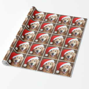 Papel De Presente Golden retriever com Natal do chapéu do papai noe