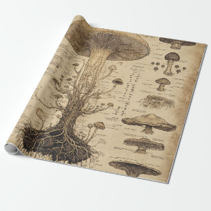 Papel De Presente Gráfico Botânico de Cogumelo Vintage (5)