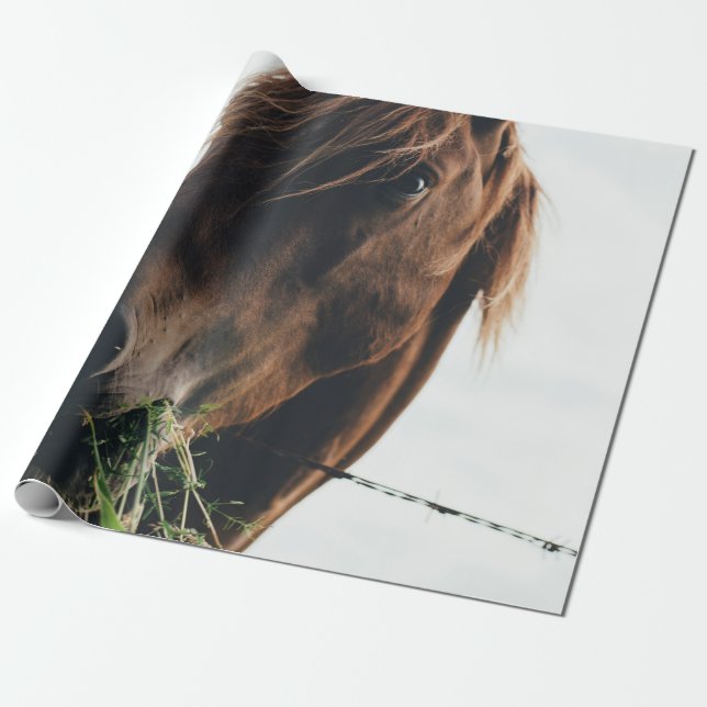 PAPEL DE PRESENTE GRAMA DE CORTE DE CAVALO (Desenrolado)