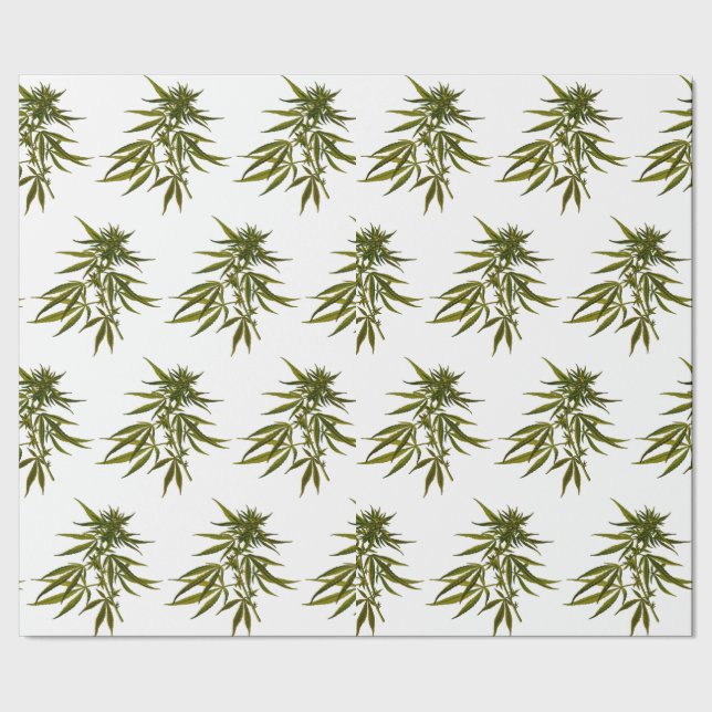 Papel De Presente Grandes bugigangas verdes em branco personalizado (Barra)
