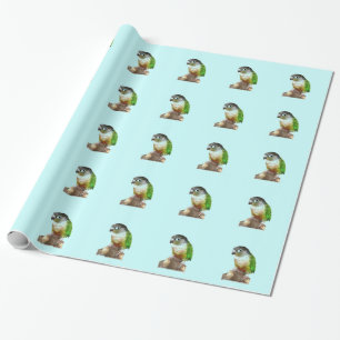 Papel De Presente Green Cheek Conure