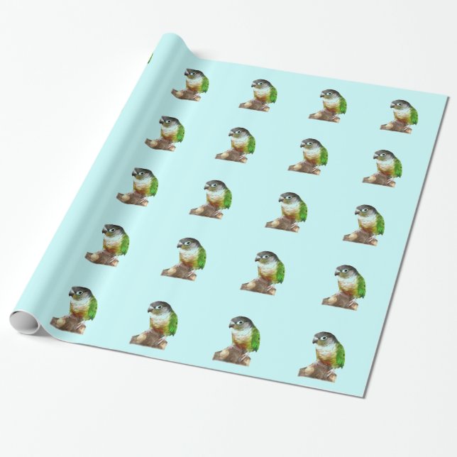 Papel De Presente Green Cheek Conure (Desenrolado)