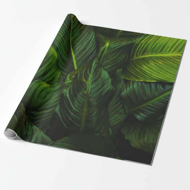 PAPEL DE PRESENTE GREEN-LEAFED PLANT (Desenrolado)