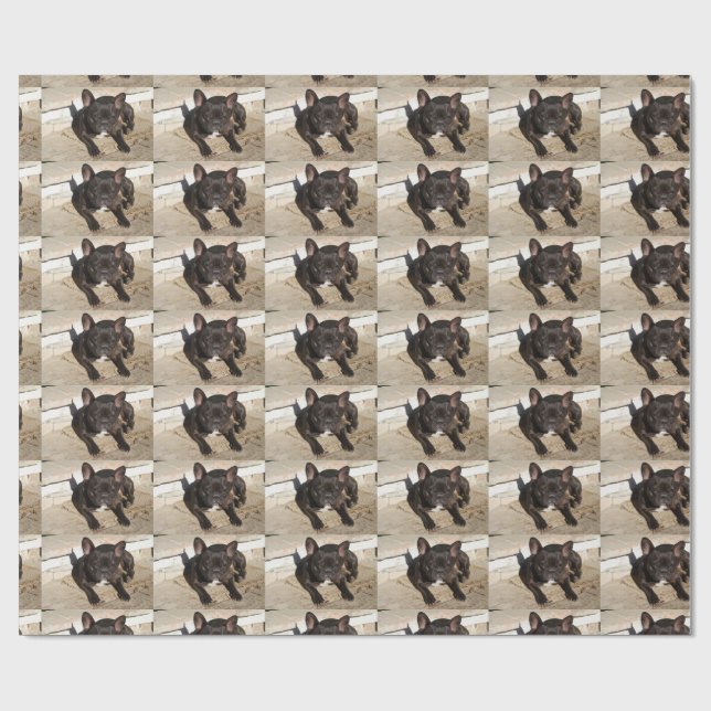 Papel De Presente Grouchy French Bulddog (Aberto)