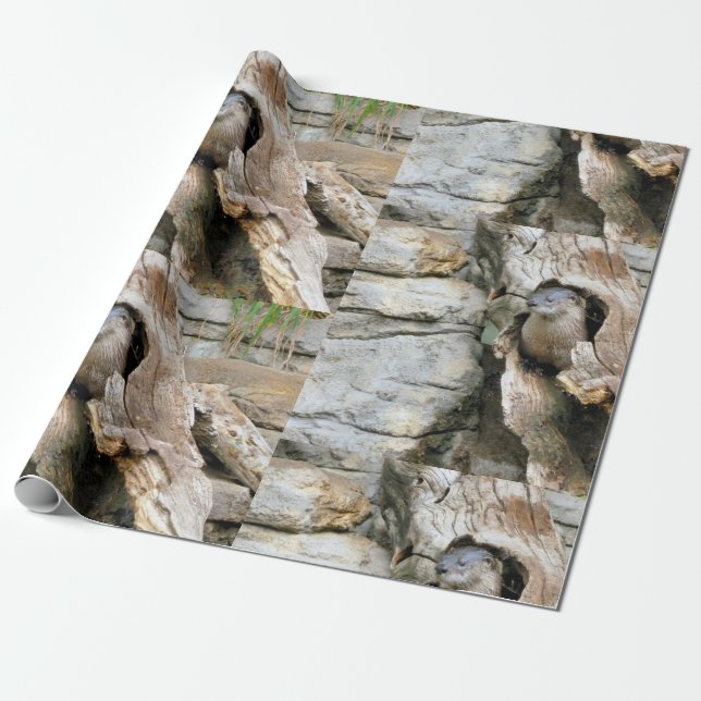 Papel De Presente Harry Otter (Desenrolado)