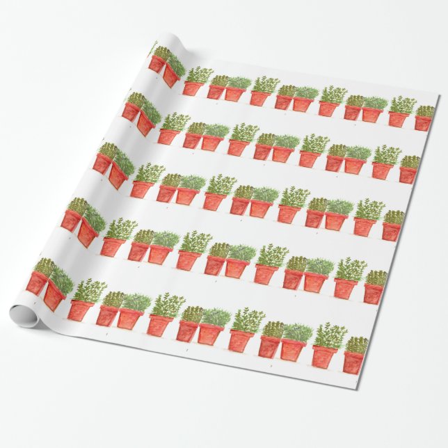 Papel De Presente Herbs thyme rosemary menta (Desenrolado)