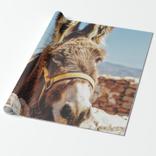 PAPEL DE PRESENTE HI DONKEY