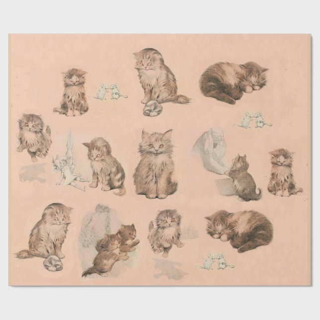 PAPEL DE PRESENTE HISTÓRIAS DE GATO DE COZINHA ENGRAÇADA EM PINCO (Aberto)