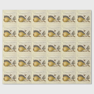 Papel De Presente Hoefnagel Pérola Vintage e Insetos 1500s Renascime