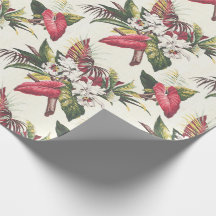 Hollywood Tropical