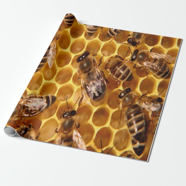 Papel De Presente Honey Bee Impressão (Desenrolado)