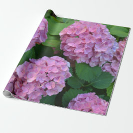 Papel De Presente Hortensia hydrangea bush rosa