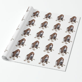 Papel De Presente Hound Basset