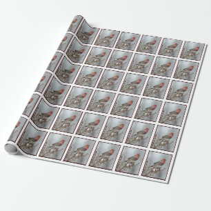 Papel De Presente House Finch in Snow - Foto original