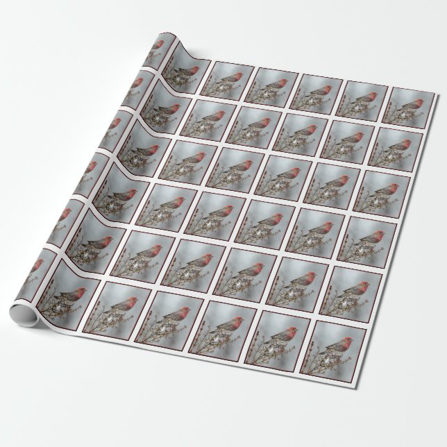 Papel De Presente House Finch in Snow - Foto original (Desenrolado)
