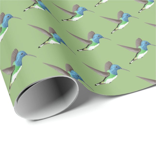 Papel De Presente Hovering Jacobin Hummingbird - transparente. (Ponta do rolo)