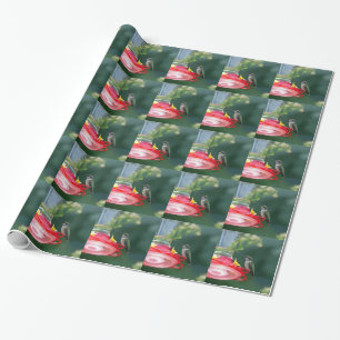Papel De Presente Hummingbird