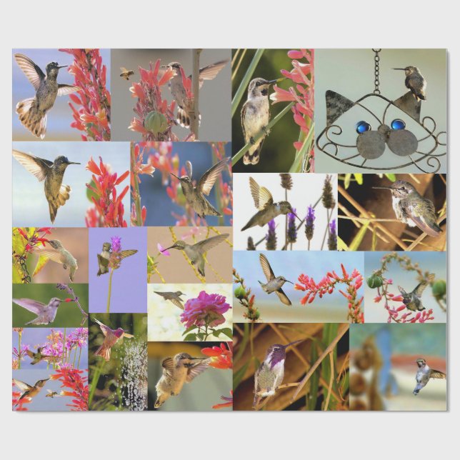 Papel De Presente Hummingbird Wrapping Paper (Aberto)