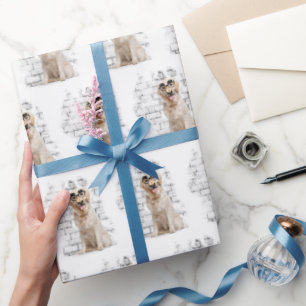 Papel De Presente Humor de ouro