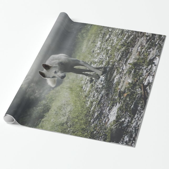 Papel De Presente Husky Siberiano Branco (Desenrolado)