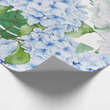 Hydrangea azul e branca