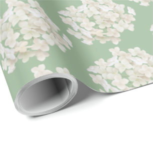 Papel De Presente Hydrangea Branca Em Verde