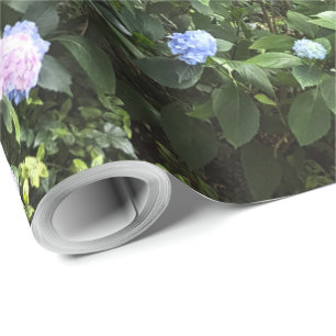 Papel De Presente Hydrangea Floral Trees Nature Fotografia