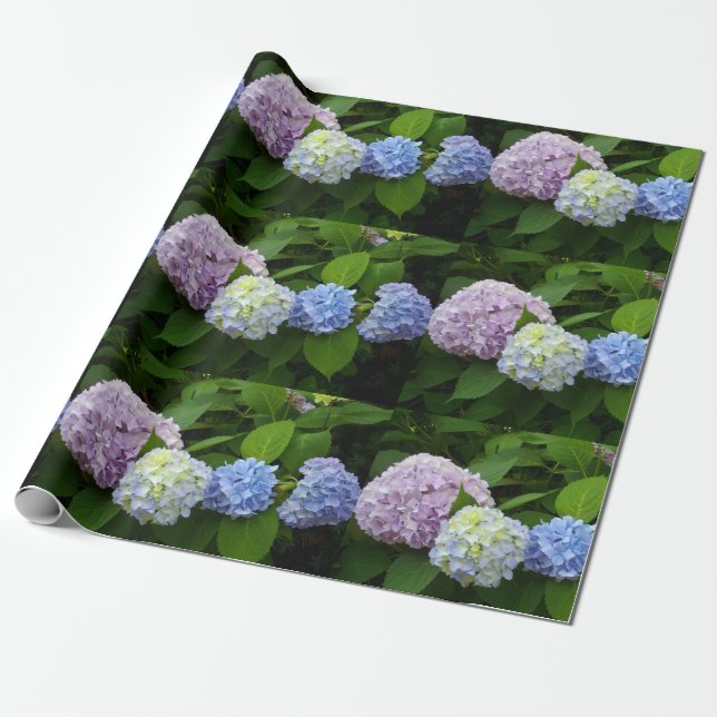 Papel De Presente Hydrangeas (Desenrolado)