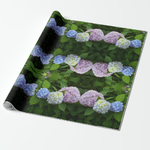 Papel De Presente Hydrangeas