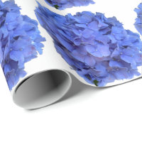 Hydrangeas florais elegantes de periguito azul