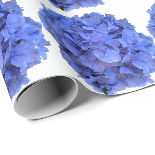 Papel De Presente Hydrangeas florais elegantes de periguito azul (Ponta do rolo)