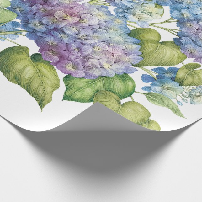 Papel De Presente Hydrangeas in Bloom (Ponta)