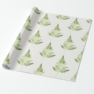 Papel De Presente Ilustração Botânica de Fern Verde Minimalista