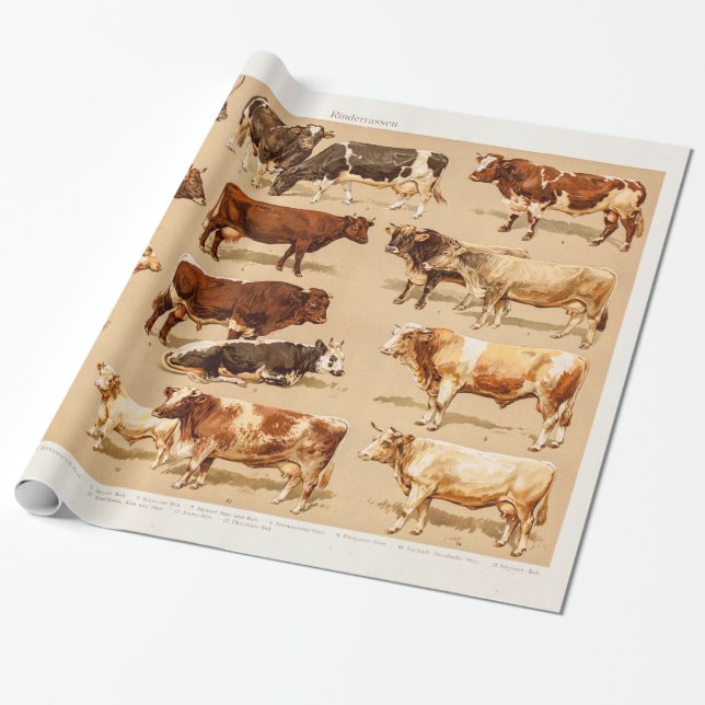Papel De Presente Ilustração da fazenda das vacas de leiteria de (Desenrolado)