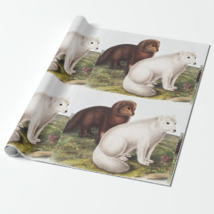 Papel De Presente Ilustração da Raposa Árctica (Vulpes lagopus)
