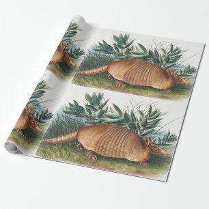 Papel De Presente Ilustração de Armadillo (Dasypus Peba) com nove 