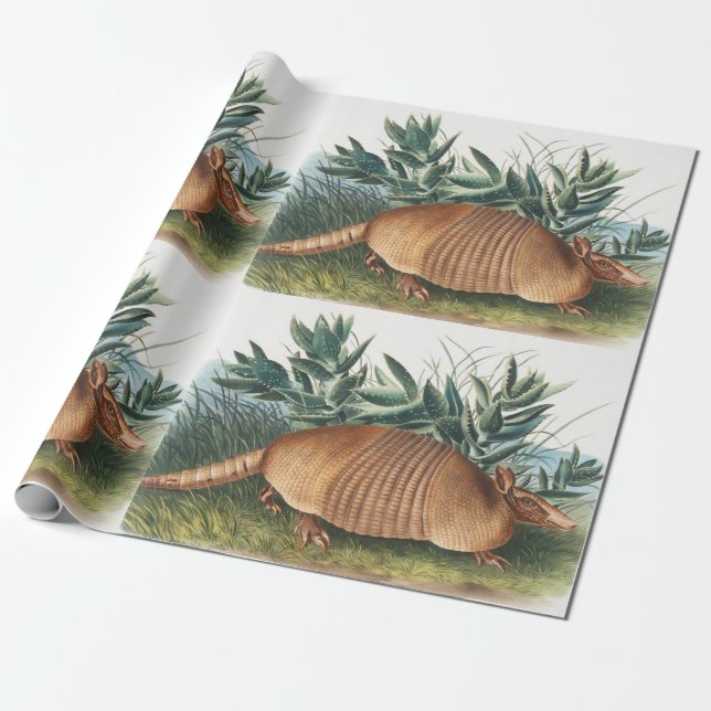 Papel De Presente Ilustração de Armadillo (Dasypus Peba) com nove fa (Desenrolado)