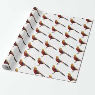 Papel De Presente ilustração de desenho animado de aves faisão do ou