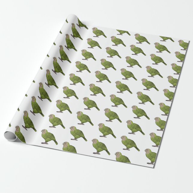 Papel De Presente Ilustração de desenho animado de pássaro Kakapo (Desenrolado)