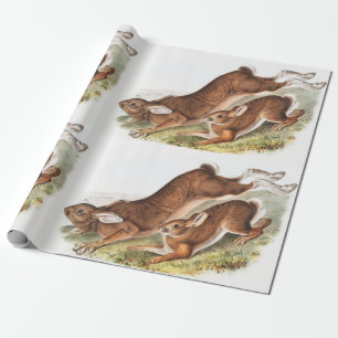Papel De Presente Ilustração de Lepus Americanus (norte Hare)